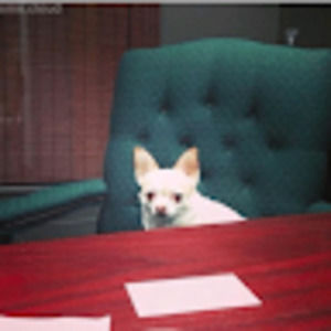 Meet your Posher, Danielle kabongo23